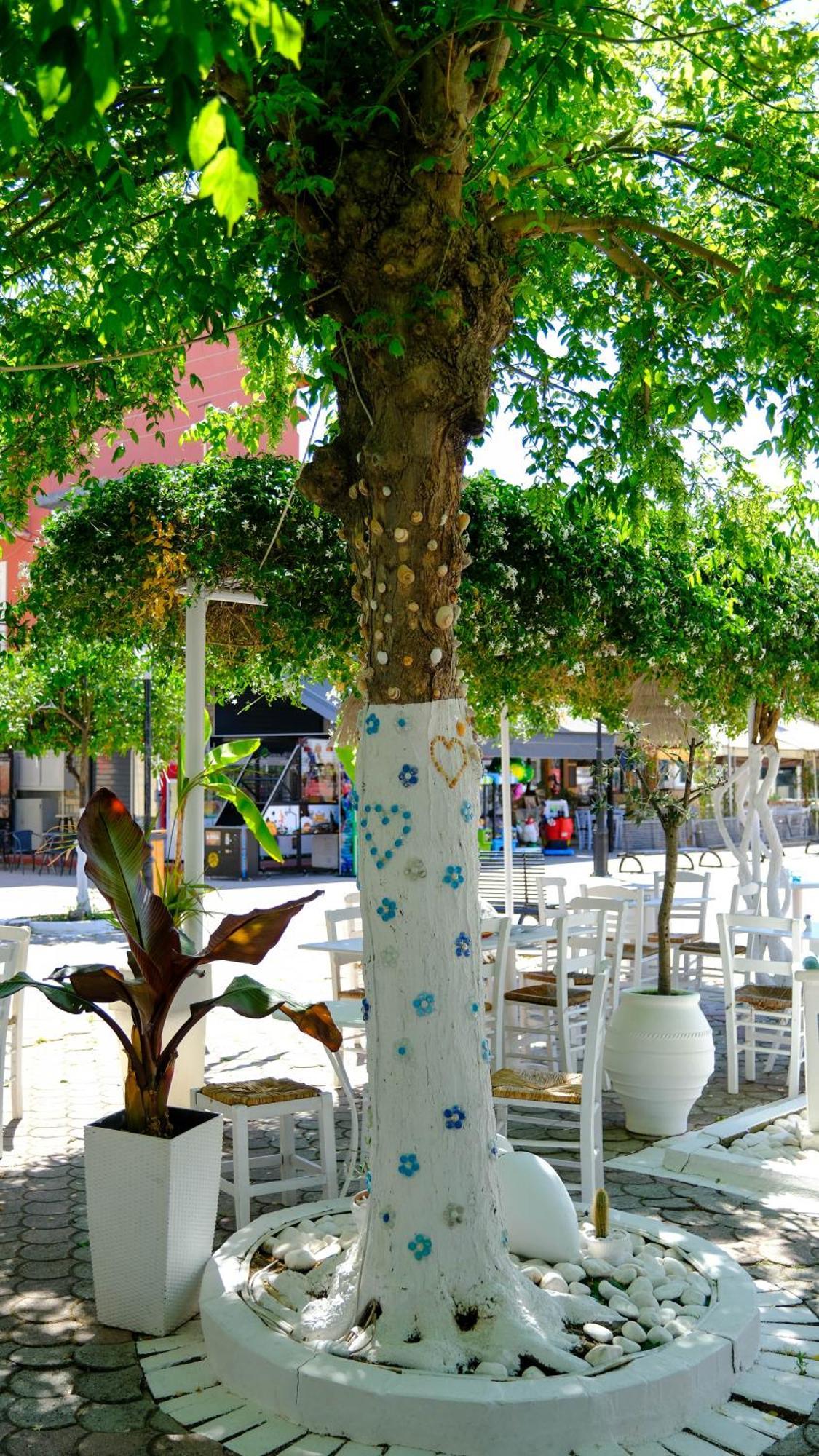 Cocoon Hotel-Beach Bar Sarti Exterior foto